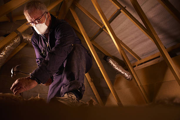 Best Types of Insulation in Fayette, AL